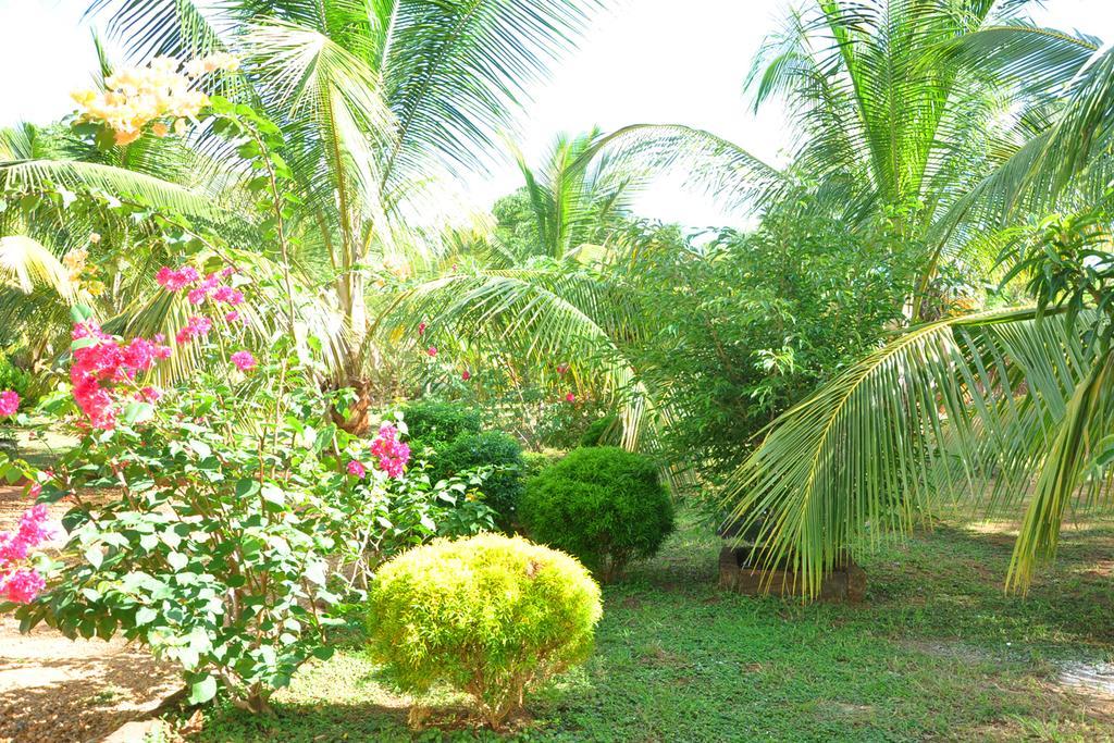 Coconut Garden House Hotel Udawalawe Exterior foto