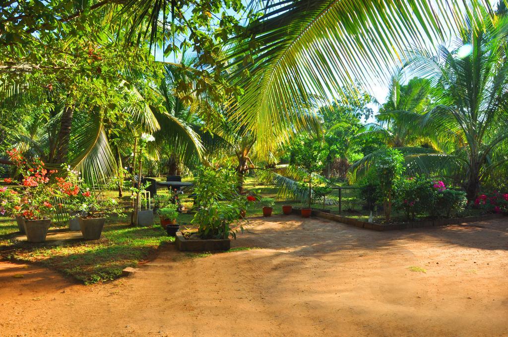 Coconut Garden House Hotel Udawalawe Exterior foto