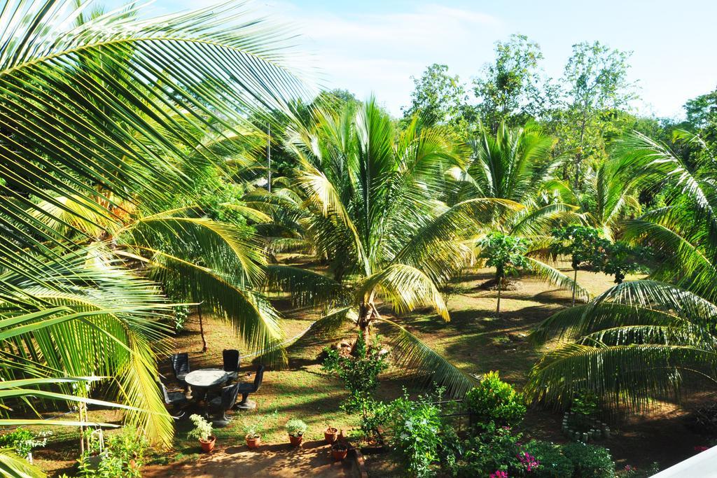Coconut Garden House Hotel Udawalawe Exterior foto
